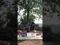 Molly Sound Healing Session At Sirena Retreats Puglia Italy Meditation Soundhealing