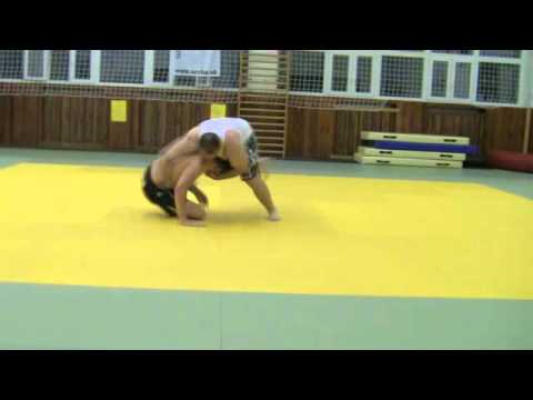 OFA - Zapik vs Citronsvk MMA