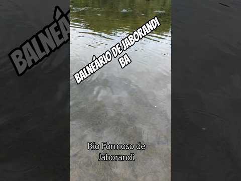 Peixes no rio formoso de  jaborandi #Vaquejada #Sertanejo #BiahReis #ModaDeVaqueiro #Nordeste