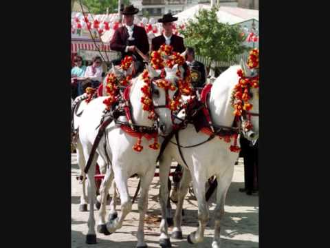 tocala tocalas palmas--Cantores de hispalis