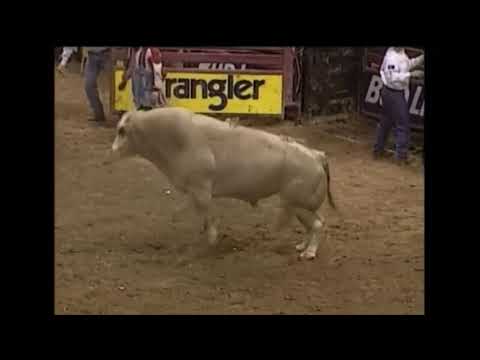 Promiseland bucks Bart Jackson - 00 PBR St. Louis