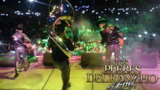 El Mentado Los Plebes del Rancho de Ariel Camacho En Vivo Cd. Altamirano, Gro. 01 de Mayo 2016.