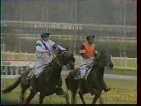 Prix de l'Ile de France (1994) - ALPHA BARBES [VHSRip]