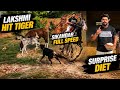 Finally Sikandar Full Speed Did Tiger And Lakshmi Become Friends Horse Dog Vlog