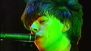 Echo &amp; The Bunnymen Live Sefton Park 26/08/82