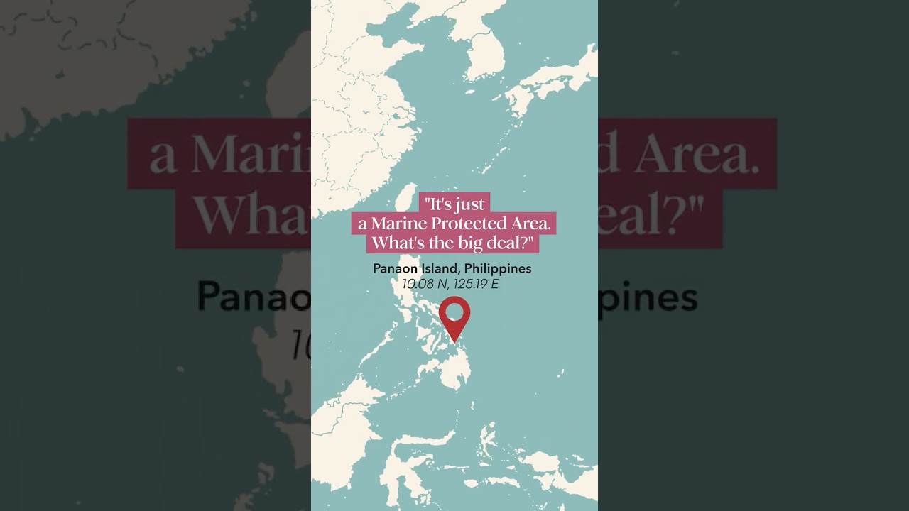Protecting Coral Reefs in The Philippines | Bloomberg Philanthropies