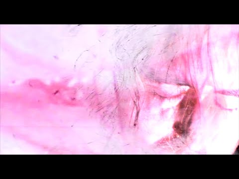 A Place To Bury Strangers - Let It All Go (Official Music Video)