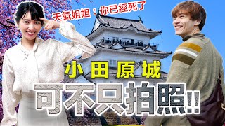 讓小田原城不再只是拍照背景！「天氣姐姐」久保井朝美這位「城堡宅」，帶你深度玩城堡，一起畢業觀光客模式吧！
