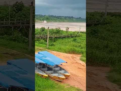 Porto de Pauini Amazonas Brasil 