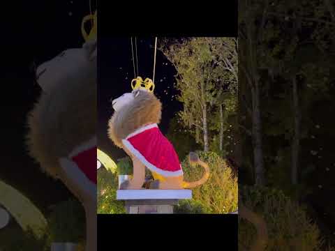 Johannessen Lights 2023 Holiday event