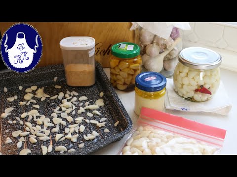 Knoblauch haltbar machen in 6 Varianten / von Ernte bis zu Ernte