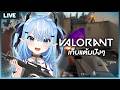 【Valorant】คิดว่าหนูจะได้กี่แต้ม!