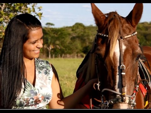 Banda Paixão di Vaqueiro - Ser tua Vida (Clipe Oficial)