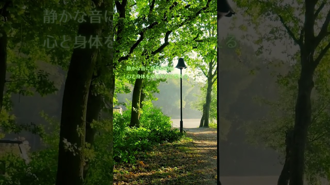 癒しの動画 ーストレス解消〜木漏れ日の中でー #bgm #リフレッシュ #小鳥のさえずり