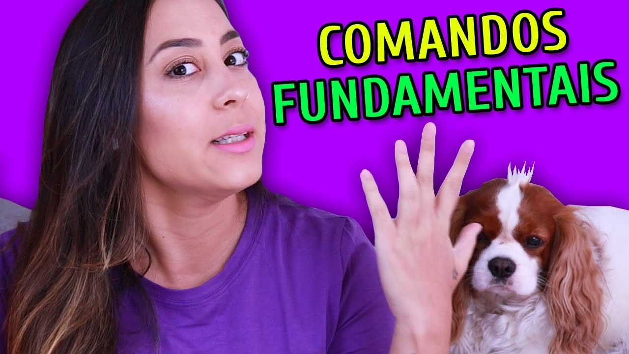 COMANDOS IMPORTANTES PRA VOCÊ ENSINAR PRO SEU CACHORRO