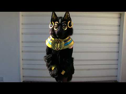 Egyptian Cat Fursuit Costume Partial