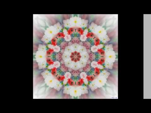 51 - Eu devo amar - Hinário do Santo Cruzeiro - Mestre Irineu