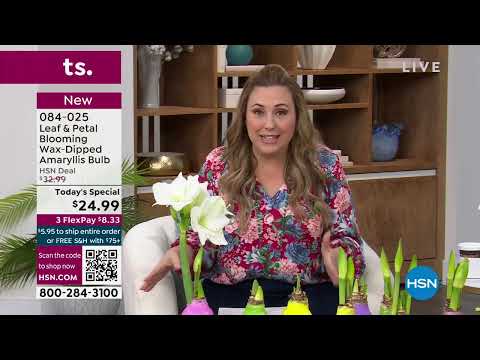 HSN | Lawn & Garden Season Premiere 02.24.2023 - 06 PM