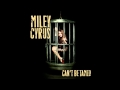 Miley Cyrus - Can't Be Tamed Karaoke ...