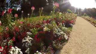 preview picture of video 'Blumenachse im Kurpark Bad Schallerbach'