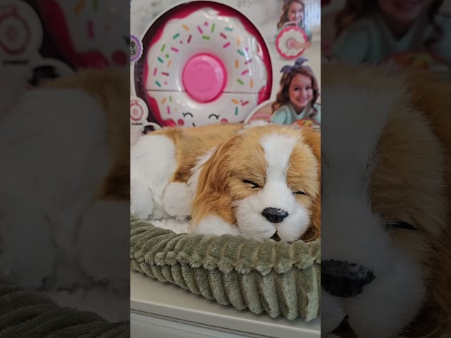 Vídeo relacionado con Precious Petzzz - Perro de Peluche (10x23x19 cm) (CD 3 4909)