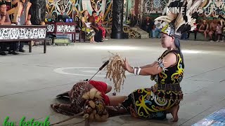 Download lagu MATI dan hidup kembali || Tarian Dayak Kayan Desa Miau Baru mp3