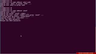 How to Add User as Sudoers using Command Line