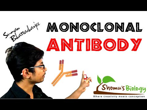 Monoclonal Antibody/ Monoclonal Antibody Production Using Hybridoma Technology