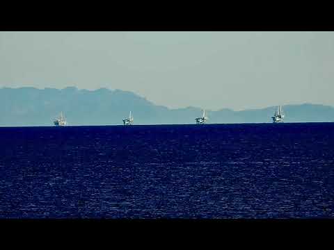 11.11.2022 Post Another BBQ Pan