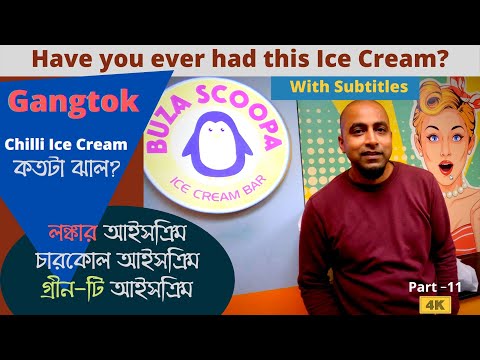 Chilli Ice Cream at Gangtok | লঙ্কার আইস ক্রিম  | Charcoal Ice Cream | Best Ice Cream Of Gangtok