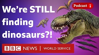 Why dinosaurs are being found every week - What in the World podcast, BBC World Service