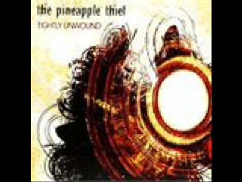 My Debt to You - The Pineapple Thief