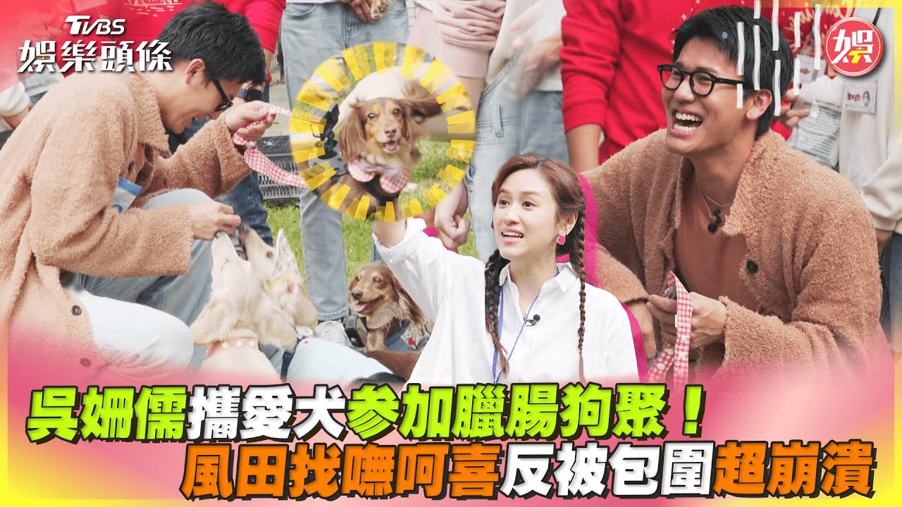 影音/吳姍儒攜愛犬參加臘腸狗聚! 風田找嘸呵喜反被包圍超崩潰