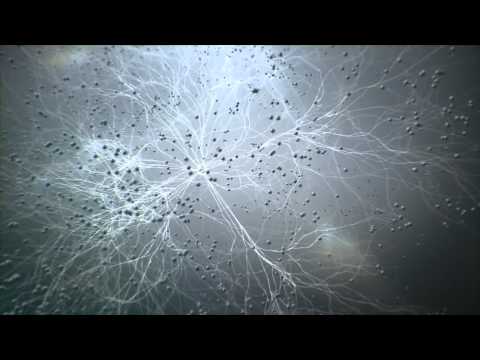 Aiur - Ejecta (Original Track Teaser)