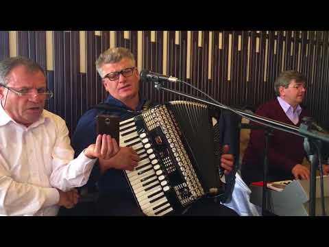 Doamne, ești a mea iubire - Nicu Petrescu nunta Dumbrăveni SV - mel Gicu Petrescu