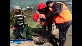 Рыбалка тамбовская область котовское водохранилище