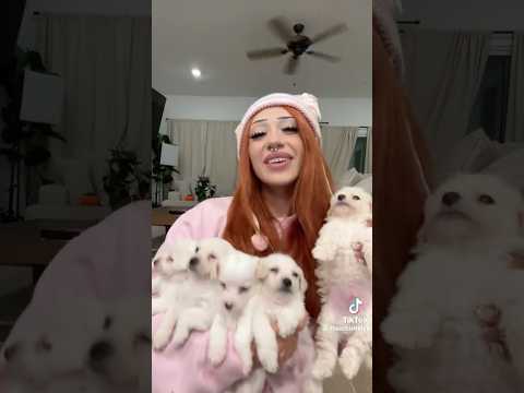 Lily got puppies #shortsfeed  #badbishes #edits #badbishlilyedit #trending #badbishlily