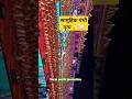 Panthi Dance Traditions Acrros Generation Cg Delhi News Folkart Cgreels Song Folkdance