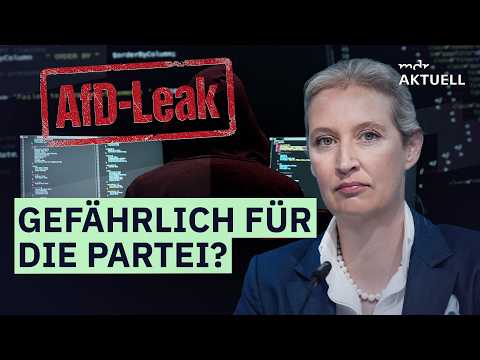 Nach Hackerangriff: Was wirklich in den AfD-Mails steht | MDR AKTUELL Talk