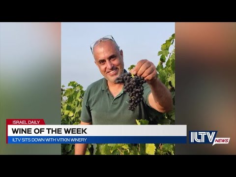 ILTV Sits Down With Vitkin Winery