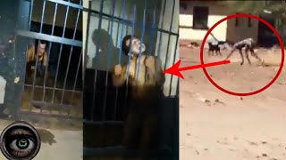 Has a real werewolf been found? 5 videos that will leave you speechless video