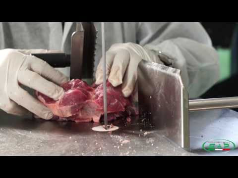 SEGAOSSI ALLUMINIO 1550/1830/2020 - ALUMINIUM BONE SAW 1550/1830/2020