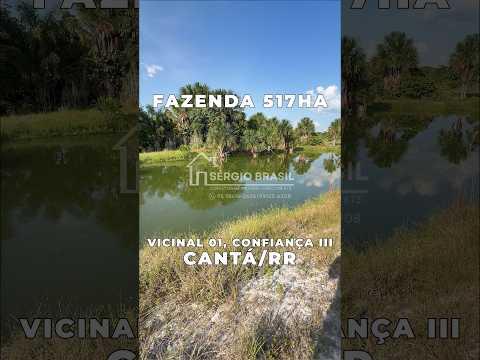 Fazenda 517ha à Venda em Cantá/RR (2)