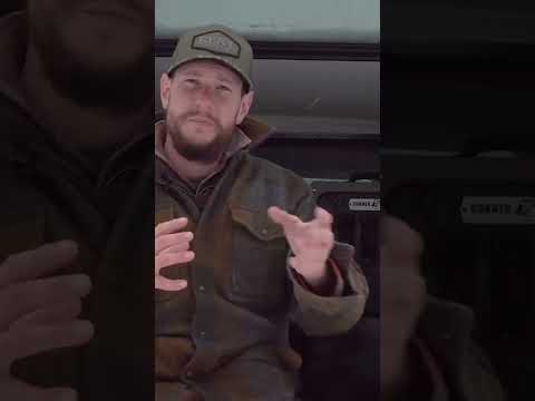 Don't Create a Gun-Shy Dog