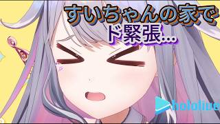 すまし顔ですいちゃん家を訪ねたビブー【ホロライブ切り抜き】