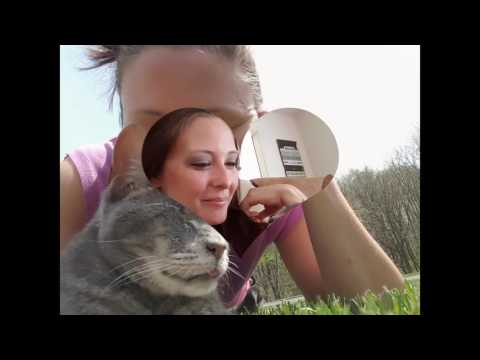 Louie - April 2008-May 2016