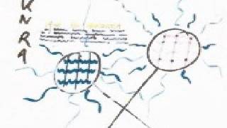 Sun Ra - When Spaceships Appear (Ra to the Rescue Chapter 1)