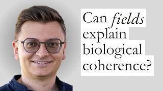 Michal Cifra: Fields & Biological Coherence