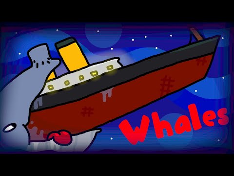 Whales
