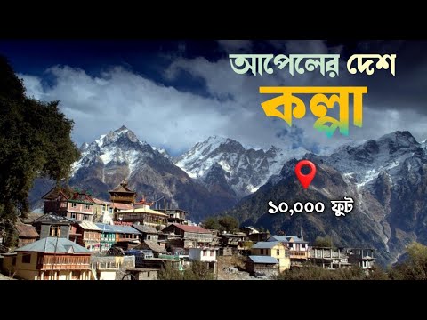 আপেলের দেশ কল্পা || ভারতের ৮০ শতাংশ আপেল এখান থেকেই আসে || Kalpa Himachal Pradesh ||